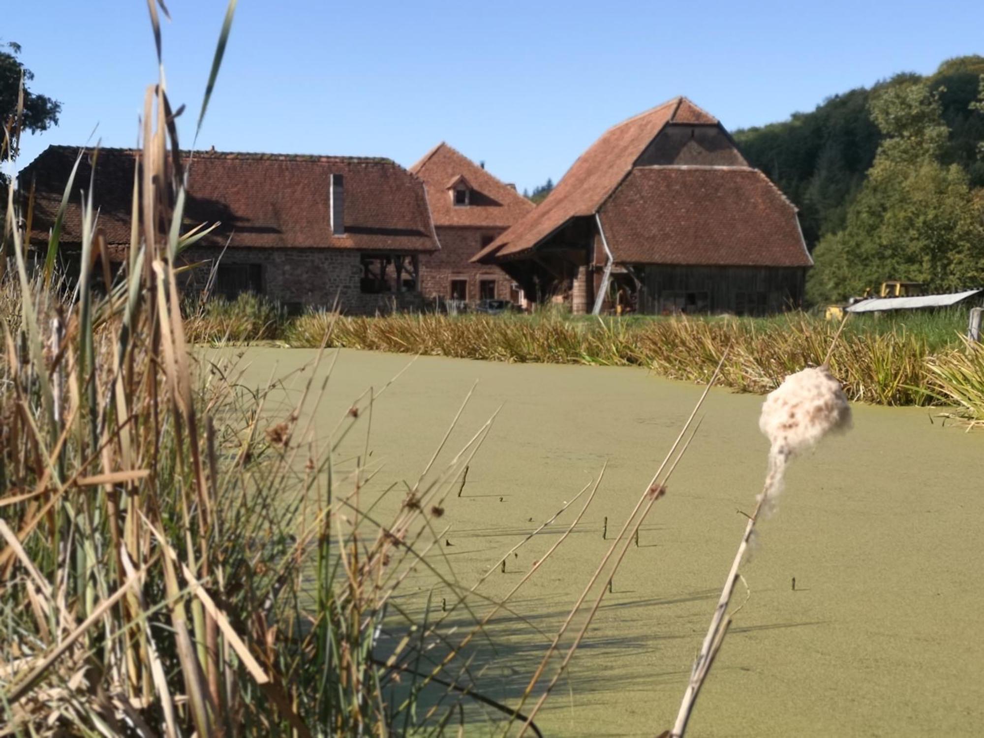 Maison D'Hotes De Charme - Ancien Moulin En Pleine Nature - La Paulusmuehle Soucht Dış mekan fotoğraf