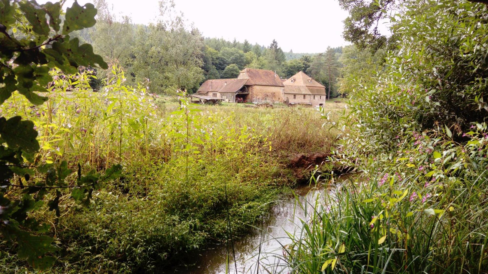 Maison D'Hotes De Charme - Ancien Moulin En Pleine Nature - La Paulusmuehle Soucht Dış mekan fotoğraf