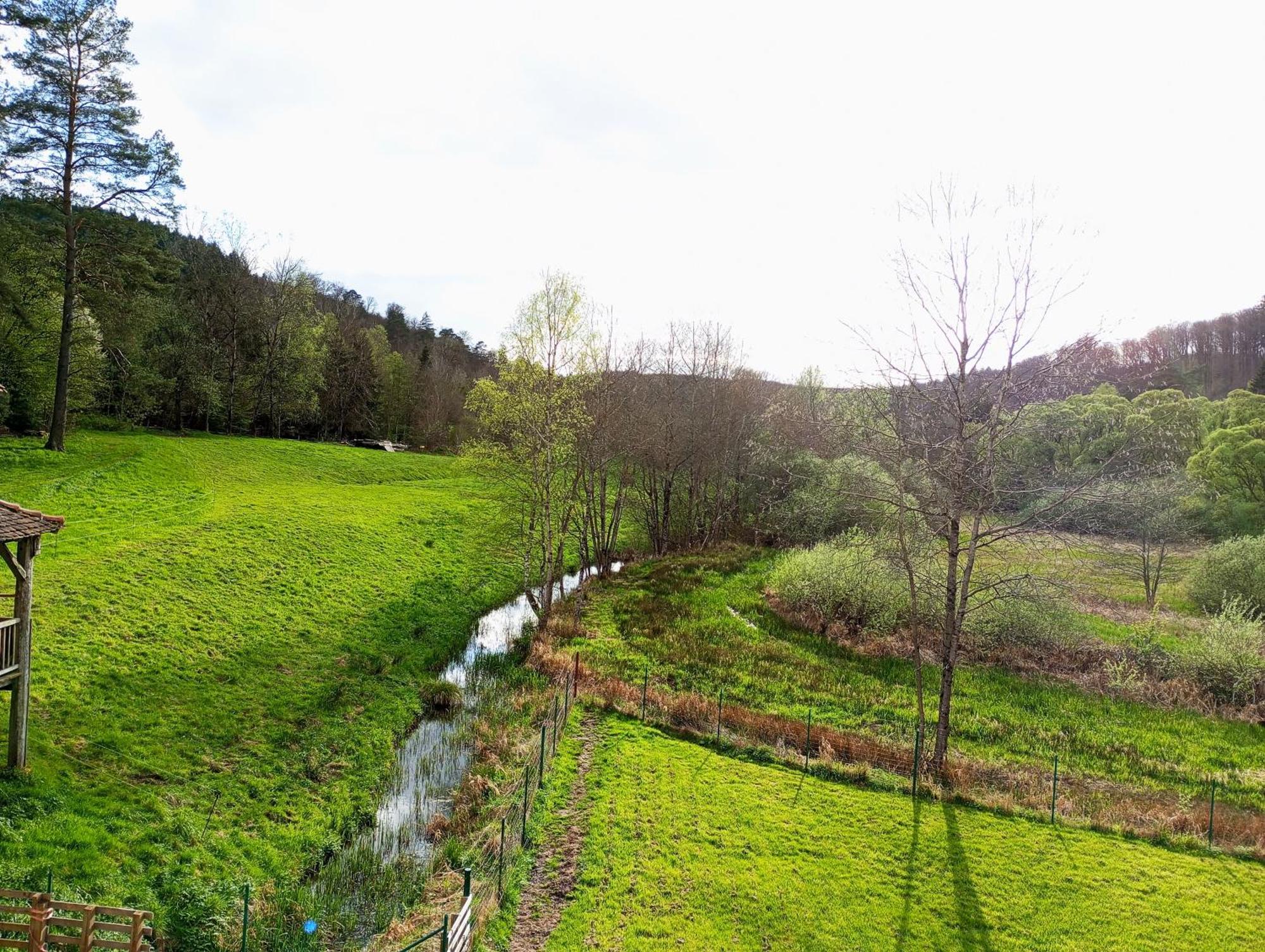 Maison D'Hotes De Charme - Ancien Moulin En Pleine Nature - La Paulusmuehle Soucht Dış mekan fotoğraf