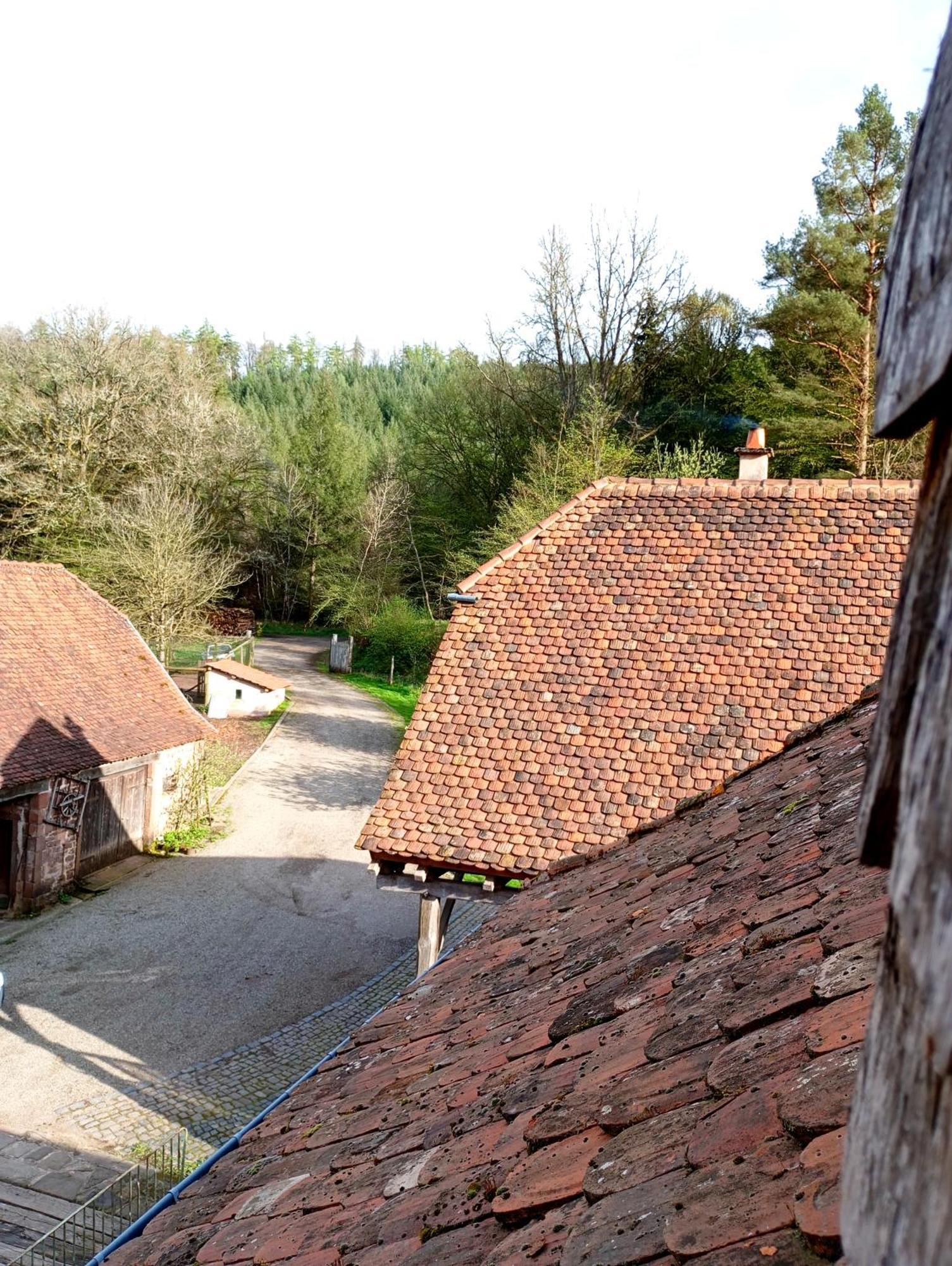 Maison D'Hotes De Charme - Ancien Moulin En Pleine Nature - La Paulusmuehle Soucht Dış mekan fotoğraf