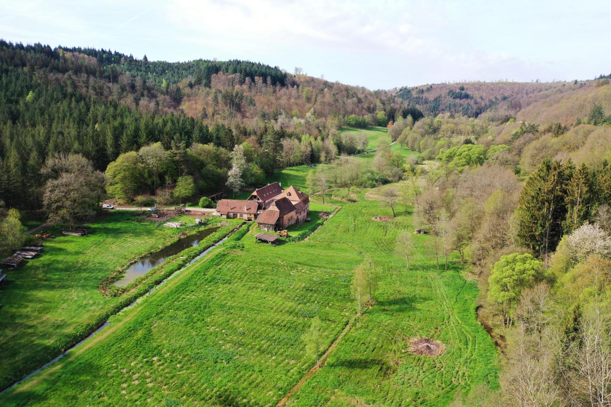 Maison D'Hotes De Charme - Ancien Moulin En Pleine Nature - La Paulusmuehle Soucht Dış mekan fotoğraf
