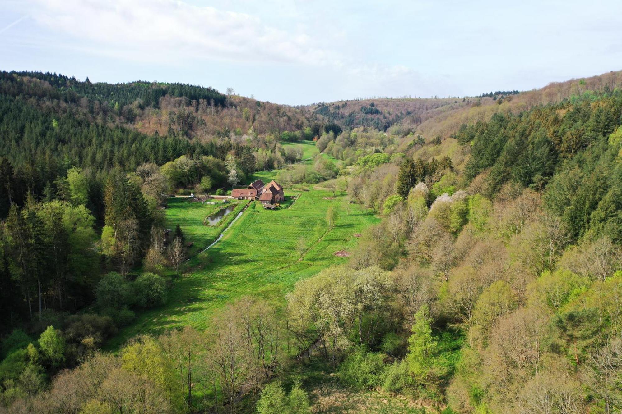 Maison D'Hotes De Charme - Ancien Moulin En Pleine Nature - La Paulusmuehle Soucht Dış mekan fotoğraf