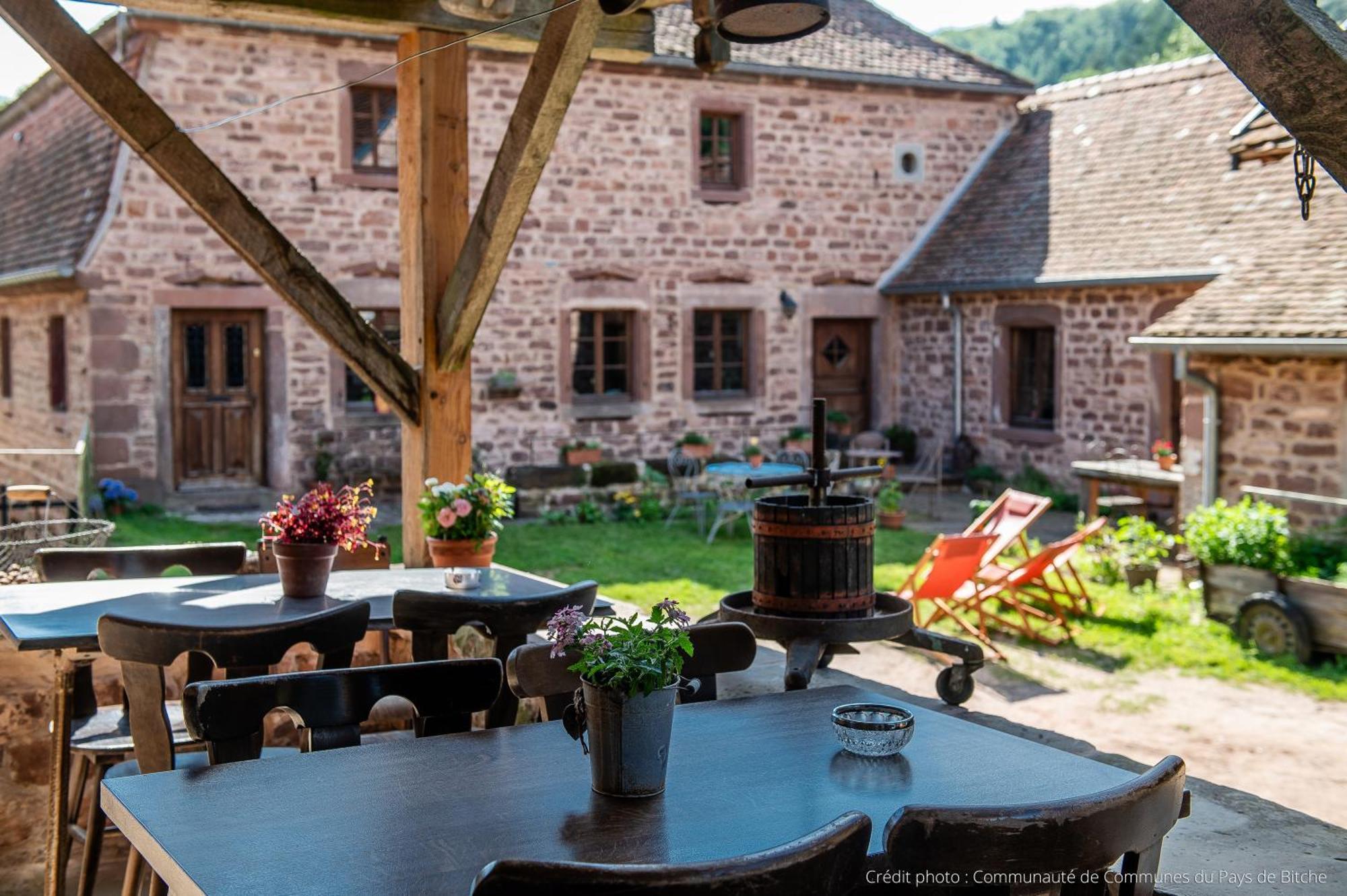Maison D'Hotes De Charme - Ancien Moulin En Pleine Nature - La Paulusmuehle Soucht Dış mekan fotoğraf
