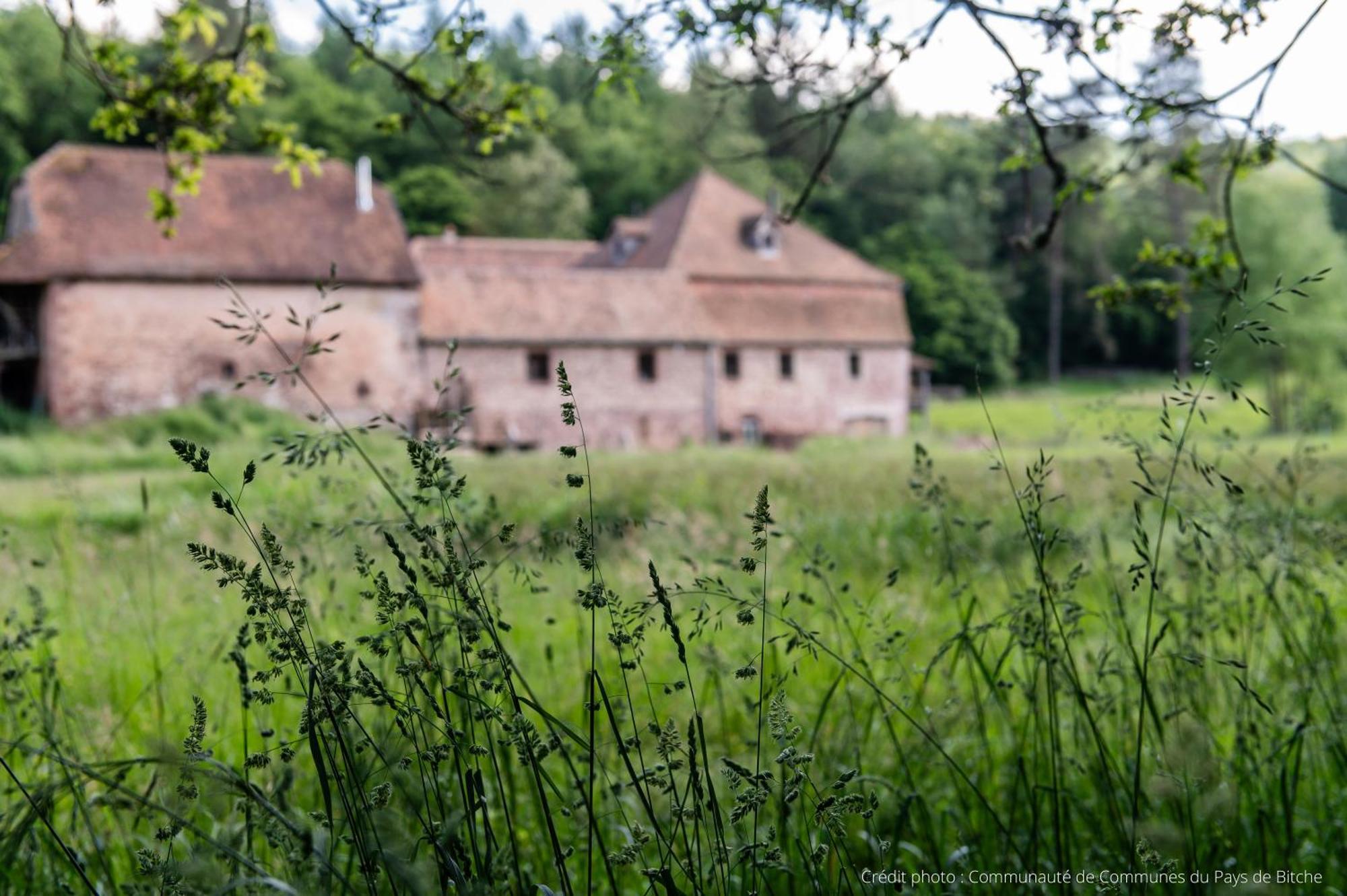 Maison D'Hotes De Charme - Ancien Moulin En Pleine Nature - La Paulusmuehle Soucht Dış mekan fotoğraf